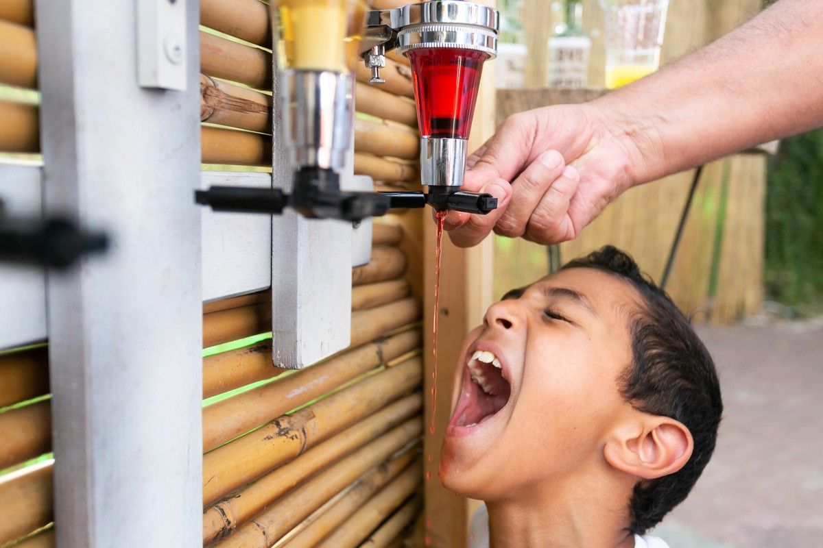 מסיבת החתונה